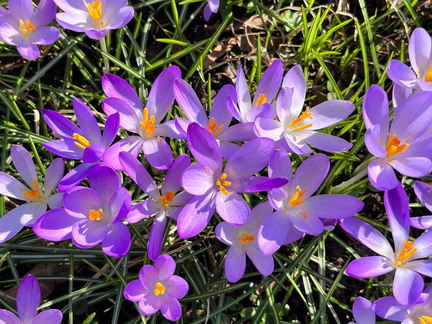 23-02-13 12-50-06 4187